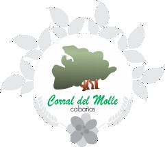 Cabañas Corral del Molle