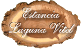 Estancia Laguna Vitel