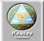 Kausay