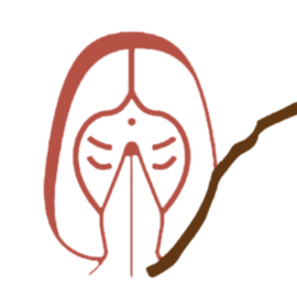 Namaste Cerro Mistico