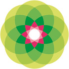 Cabañas Madre Verde