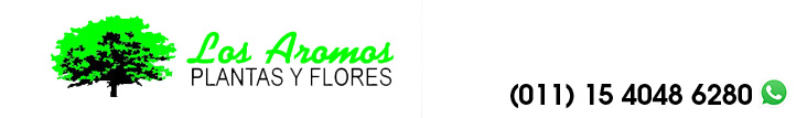 Plantas y Flores los Aromos