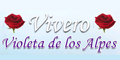 Violeta de los Alpes