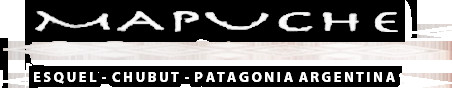 Mapuche