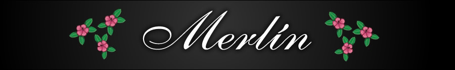 Merlin