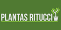 Ritucci Plantas - Decoracion Interiores y Exteriores