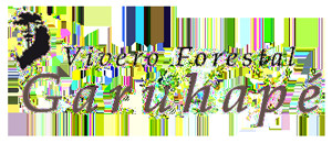 Vivero Forestal Garuhape