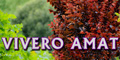 Vivero Amat