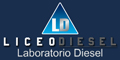 Liceo Diesel - Reparacion Equipo de Inyeccion Bosch - Delphi