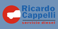 Servicio Diesel - Capelli Ricardo