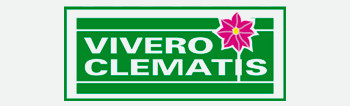 Vivero Clematis