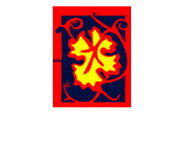 Carinae Viñedos y Bodegas