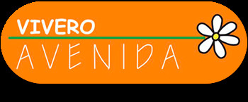 Vivero Avenida