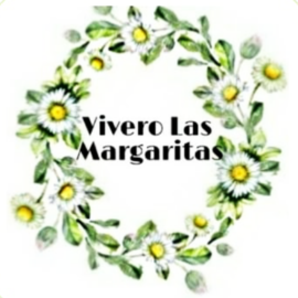 Vivero las Margaritas