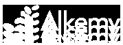 Alkemy Diagnostico