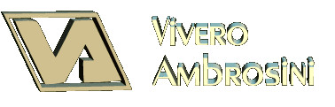 Vivero Ambrosini
