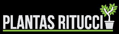Ritucci Plantas y Flores