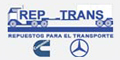 Rep - Trans