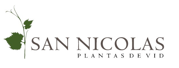 Vivero San Nicolas Vid