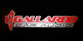 Gallardo Car Audio