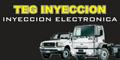 Teg Inyeccion - Especializado en Inyeccion Electronica