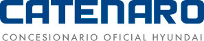 Grupo Catenaro Hyundai - Seat - Lifan