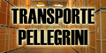 Transportes Pellegrini