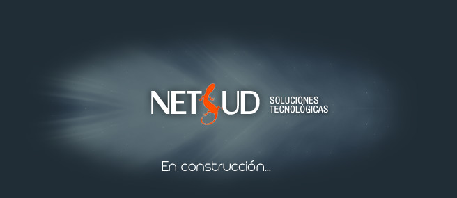 Netsud Soluciones Tecnologicas