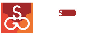 Sgo Consultora