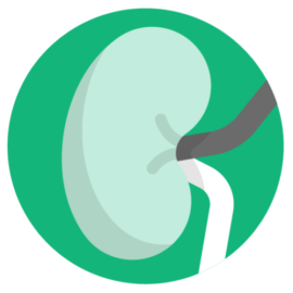 Asociacion Nefrologica de Cdad de Buenos Aires