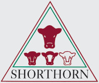 Asoc Arg de Criadores de Shorth