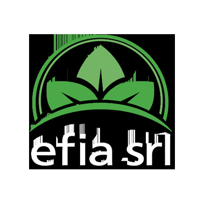 Grupo Efia