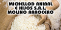 Michellod Anibal e Hijos SRL
