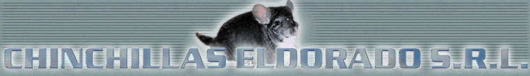 Chinchillas el Dorado SRL