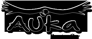 Auka - Rent a Car - Alquiler de Autos Dentro de la Patagonia