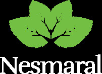 Nesmaral SRL