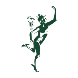 Mediterranea Valores y Acciones SA