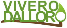 Vivero D Alloro