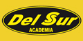 Academia de Conductores del Sur