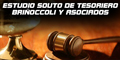 Estudio Souto de Tesoriero Briñoccoli y Asociados