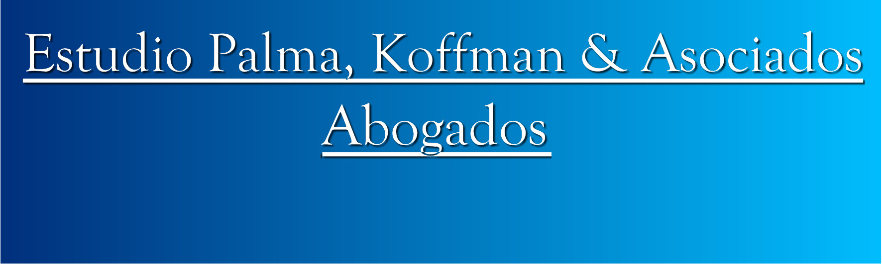 Estudio Palma & Asociados