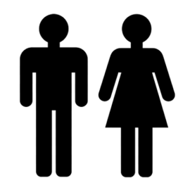 Human Indumentaria Básica