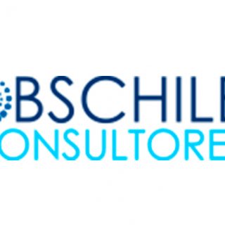 BS Chile Consultores