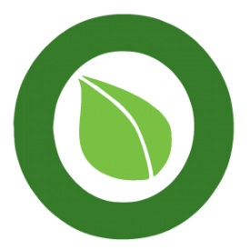 BEATRIZ BRAVO PINO SERVICIOS DE VEHICULOS E.I.R.L.