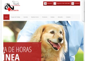 Clínica Veterinaria San Martín