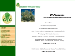 Consorcio Pistachos Chile Ltda.