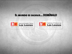 Centro de Formación Técnica Los Leones Limitada