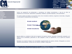 CA & Consulting
