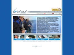 Cetecsal S.A.