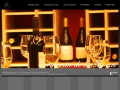 Cormoran de Las Rocas